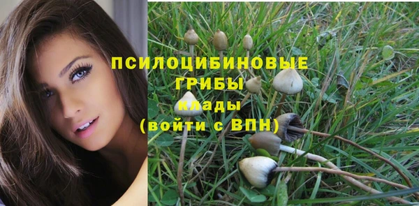 гидропоника Беломорск
