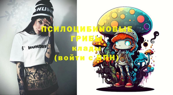 индика Балабаново