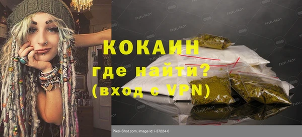 индика Балабаново