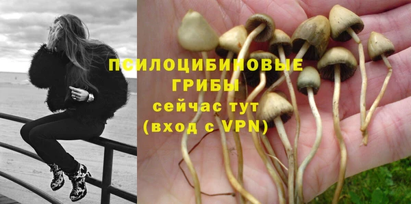 винт Белокуриха