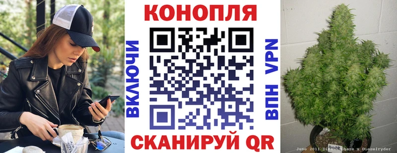 Бошки марихуана Amnesia  даркнет как зайти  Богородицк 